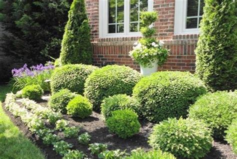 5 Best Landscaping Ideas For Front Yard Front Yard Shrubs For