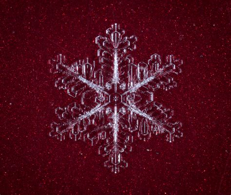 Free Images Snow Macro Snowflake Computer Wallpaper Symmetry