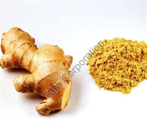 Ginger Extract Powder At Best Price In Thane Tara Corporation