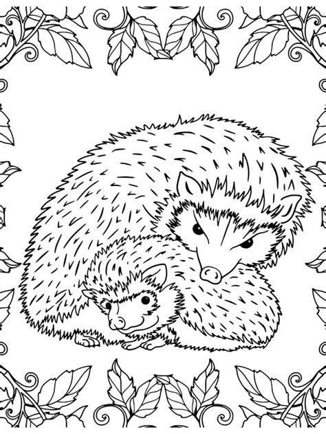 Two Hedgehogs Coloring Page Funny Coloring Pages