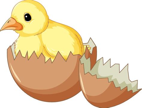 a chick in hatching egg 8191744 vector art at vecteezy