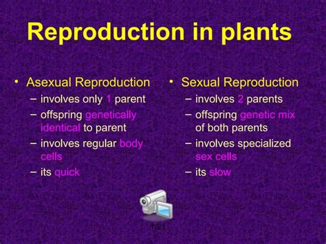 Science 9 Unit A Biological Diversity Section2 Lesson4 Asexual Sexual