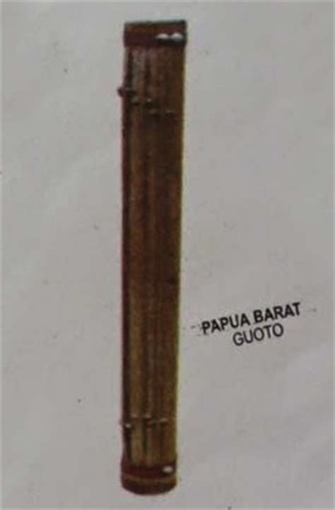 Aslinya alat musik tradisional ini berasal dari daerah papua barat dan dimainkan dengan cara dipetik pada bagian dawai atau senarnya. Alat musik Guoto