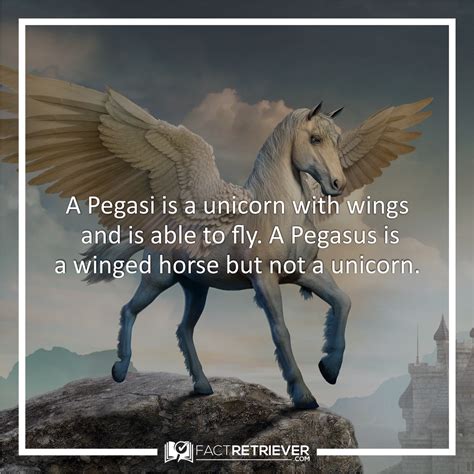 Pegasi Vs Pegasus Unicorn Facts Animal Facts Weird Facts