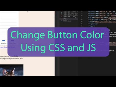 Html Button Color Change With Css And Js Youtube