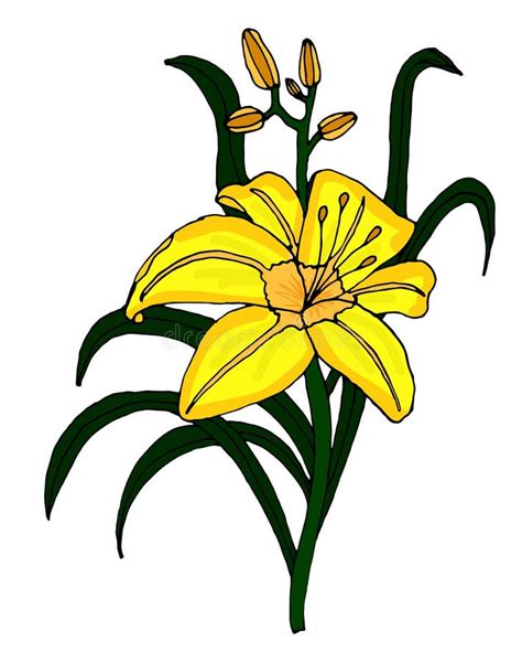 Lily Flower Vector Icon Stock Vector Illustration Of Logo 85406087
