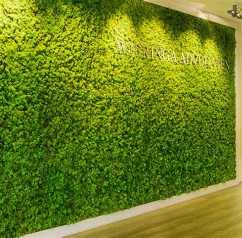 Maybe you would like to learn more about one of these? reindeermosswalls (1) | Moss wall, Vertical garden, Garden landscape design
