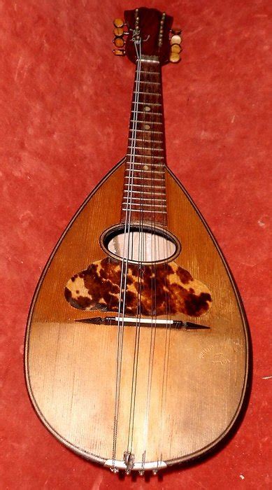 Rarity Mandolin Made By The World Famous Instrument Maker Giuseppe