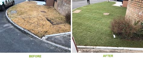 Laying A New Lawn Before And After Photos
