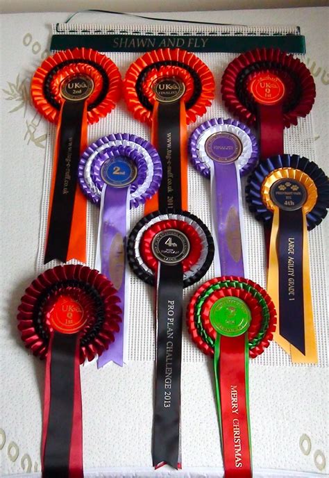 Use Our Large Rosette Display Hanger To Space Out Your Rosettes And
