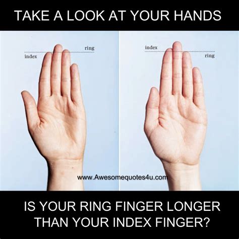 Take A Look At Your Hands Is Your Ring Finger Longer Than Your Index