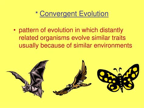 Ppt Mechanisms Of Evolution Powerpoint Presentation Free Download