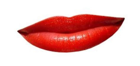 Consisting of or using speech: Lippenherpes: Hausmittel unterstützen die schnelle Heilung ...