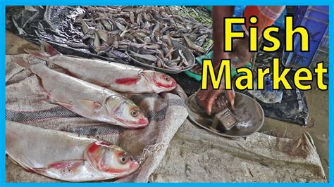 Freshly baked cakes, donuts, bread and more…. Exclusive Fresh Fish Market Near Me (Part 2) | Fish Corn ...