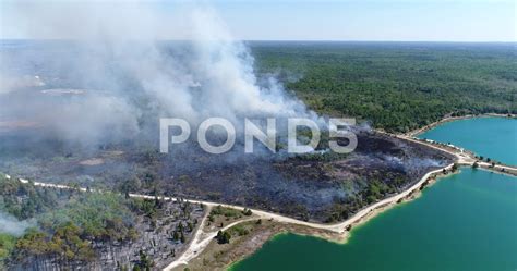 Drone Aerial View Wildfire Flames Forest Fire Brush Fire In Hernando