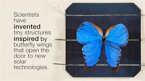 Butterfly Wings Inspire Invention That Opens Door To New Solar Anu Engineers Have Invented