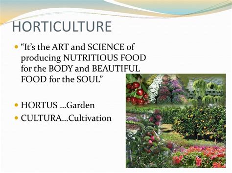 Ppt Introduction To Horticulture Powerpoint Presentation Free