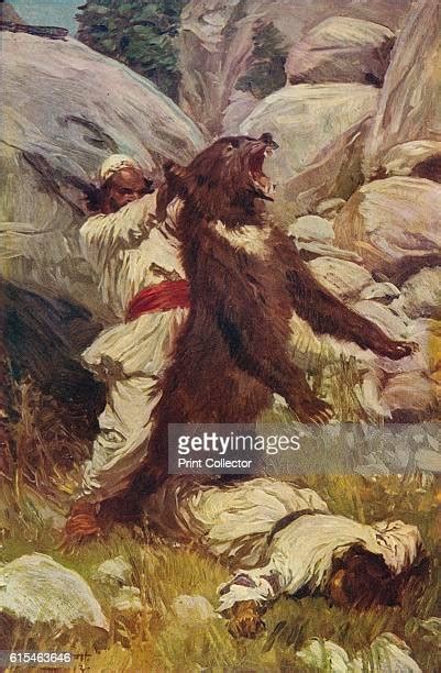 Man Wrestling Bear Photos And Premium High Res Pictures Getty Images