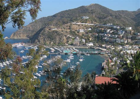 Notice the shorter sections where you see new tops growing. California Trail Blazers Interview: Author Tom Courtney ...