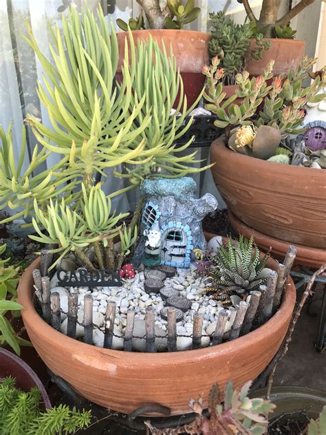 Succulent Fairy Garden Etsy Magical Diy Succulent Fairy Garden Ideas