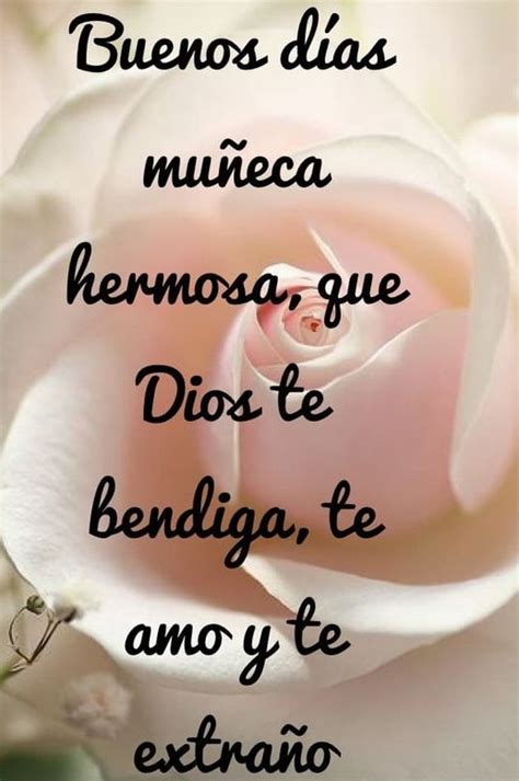 Mensajes De Buenos Días Amor Imágenes Y Frases Muy Bonitas