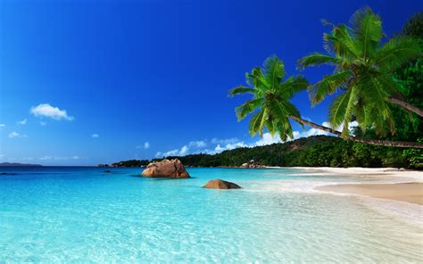 Tropical Island Full Hd Wallpaper And Background Image 1920x1200 Id