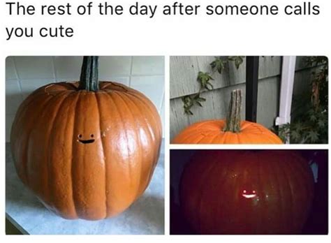 Pin By Sexyscorpio507 On Sick Memes Lol 18older Pumpkin Funny Posts