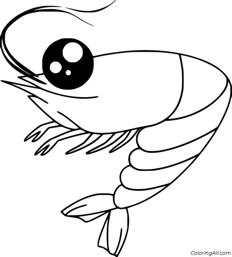 17 free printable Shrimp coloring pages in vector format, easy to print from any device and