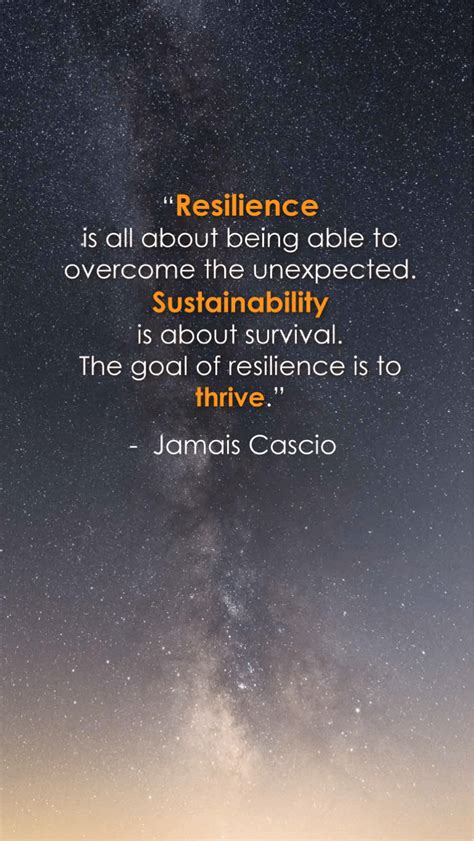 101 Resilience Quotes To Help You Get Through Your Day Resilience