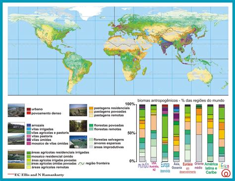 Geografia Ano Mapa De Biomas Do Mundo Fotos Conectadas The Best Porn
