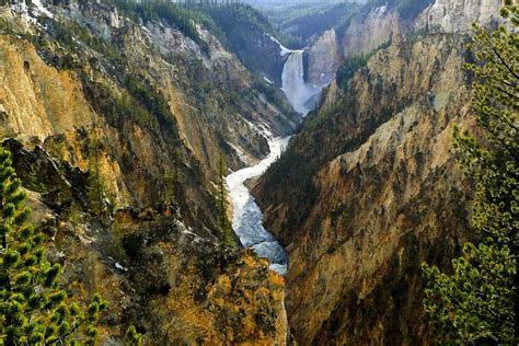 West Yellowstone Yellowstone Day Tour Including Entry Fee Getyourguide