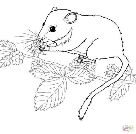Technically, bleorenge isn't a word, but wikipedia says it counts. Meadow coloring, Download Meadow coloring for free 2019