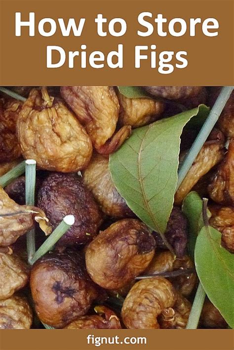 How To Store Dried Figs At Home Fignut