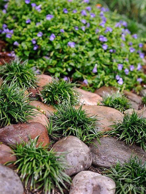 20 Tough Plants That Grow In Dry Shade Landscaping With Rocks