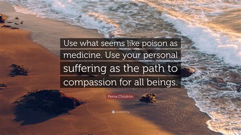 Pema Chödrön Quote Use What Seems Like Poison As Medicine Use Your