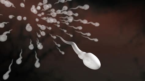 Men Seeing Drastic Drop In Sperm Count Study Claims Fox News