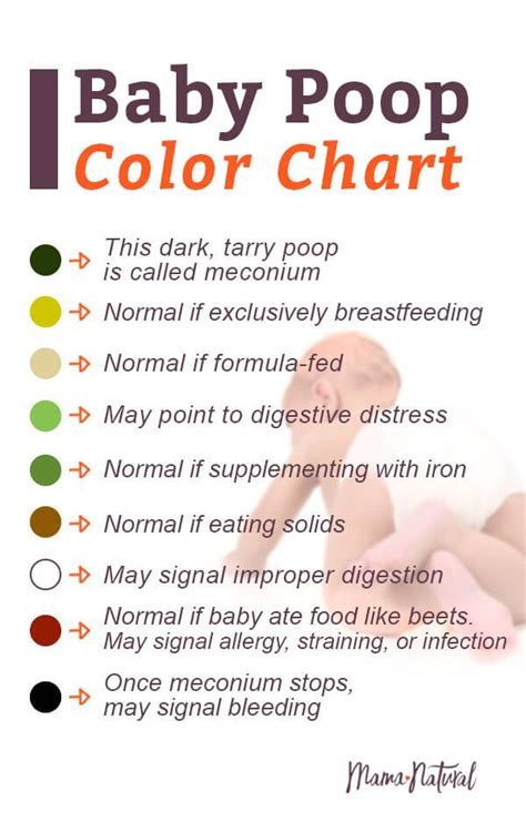 Baby Pooping Baby Care Tips Baby Information What Does Your Baby Poop