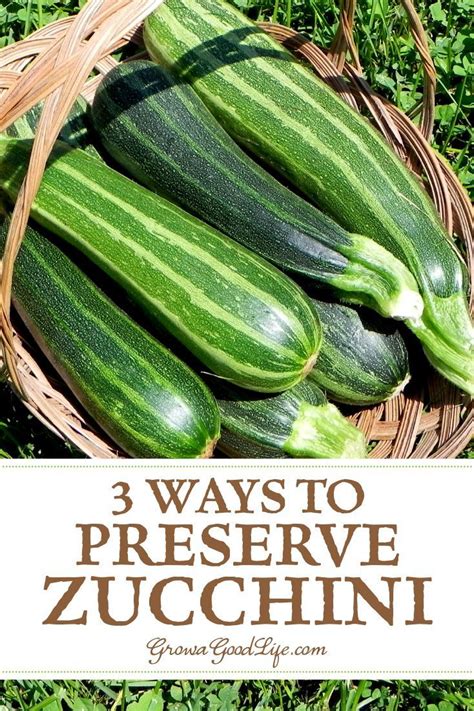 We did not find results for: Preserve Zucchini 3 Ways | Zucchini, Preserving zucchini ...