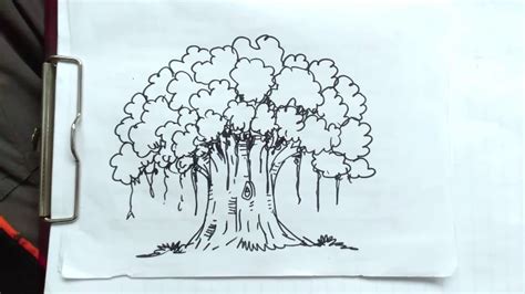Sketsa Gambar Pohon Beringin Pancasila Mewarnai Gambar