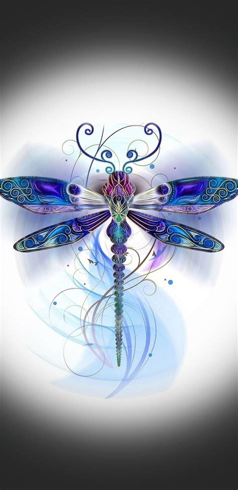 Colorful Dragonfly Image Abyss
