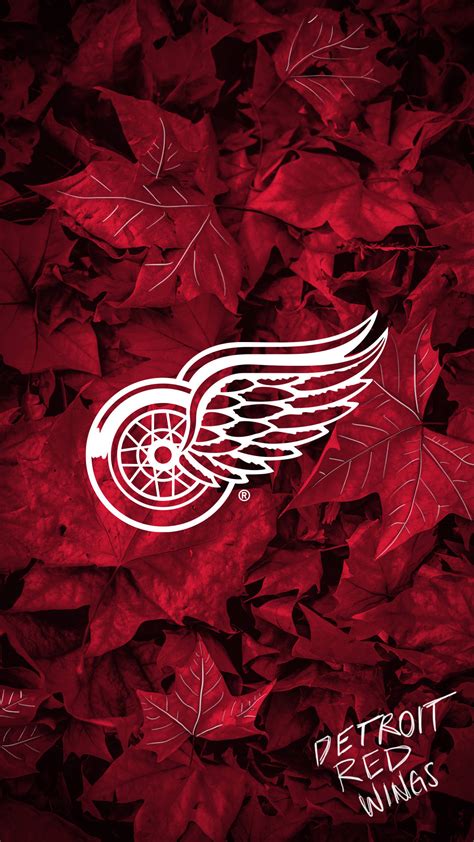Download Detroit Red Wings Maple Leaves Wallpaper