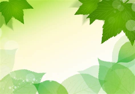 Spring Fresh Green Leaves Vector Illustration Free Vector Graphics