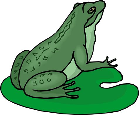 Cartoons Of Frogs Clipart Best