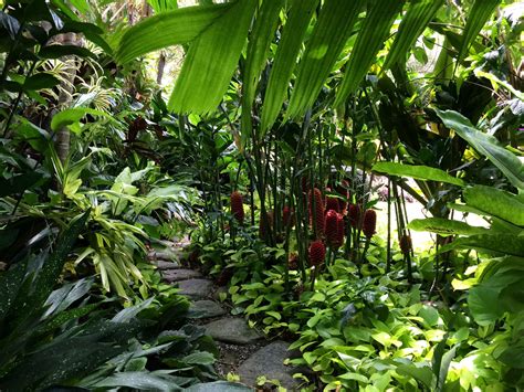 The Garden Is Full Of Tropical Plants And Flowers