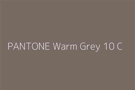 Pantone Warm Grey 10 C Color Hex Code
