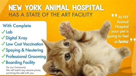 American Animal Hospital Updated April 2024 25 Photos And 30 Reviews