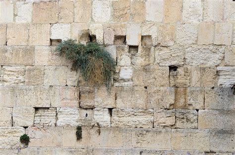 Western Wall In Jerusalem Free Stock Photo Public Domain Pictures