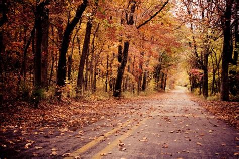 12 Best Places To Experience Fall In Arkansas Southern Trippers