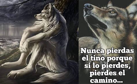 top 148 imagenes de lobos con frases motivadoras theplanetcomics mx