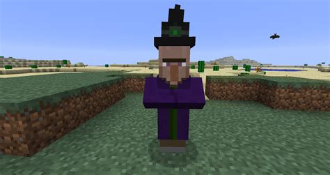How To Cure A Witch In Minecraft